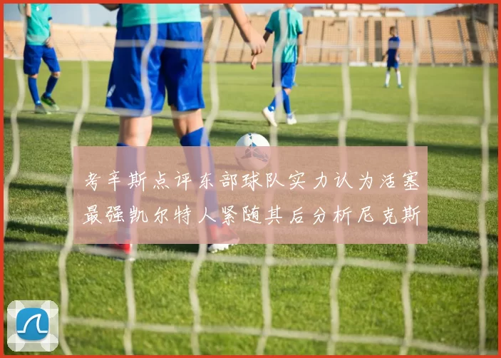 考辛斯点评东部球队实力认为活塞最强凯尔特人紧随其后分析尼克斯不足之处