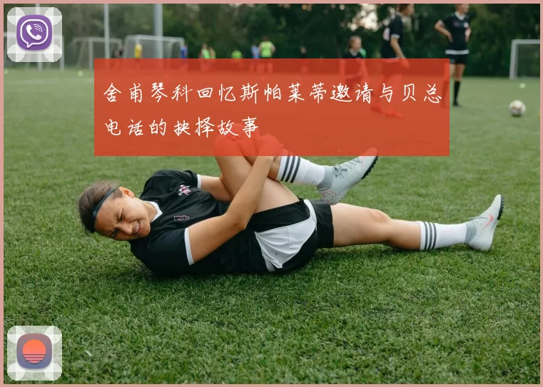 舍甫琴科回忆斯帕莱蒂邀请与贝总电话的抉择故事