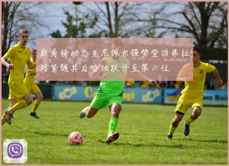 新秀榜动态克尼佩尔强势登顶弗拉格紧随其后哈珀跃升至第六位